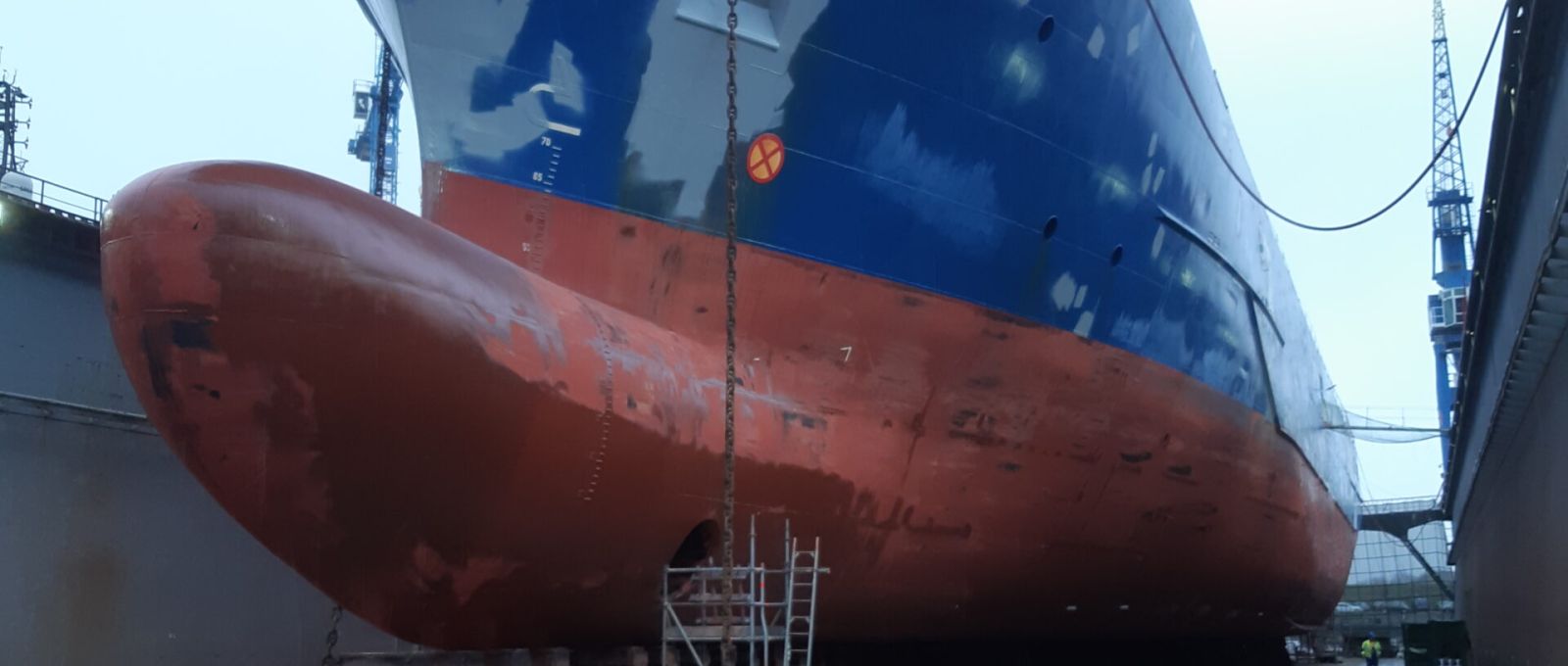Amasus Shipping